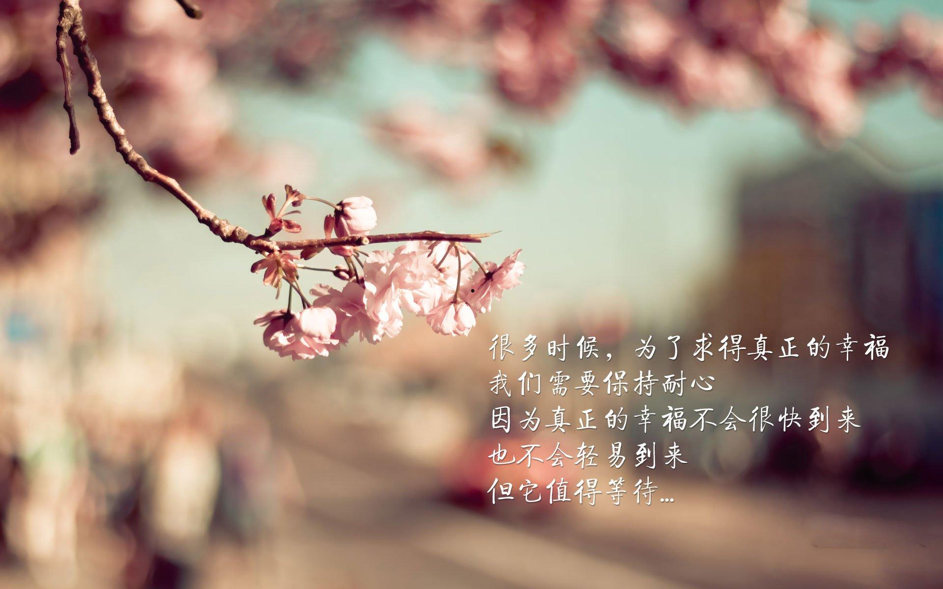 拜托告诉我 而且影质比较高的 有没有哪位知道哪些网站看电影是不收费的